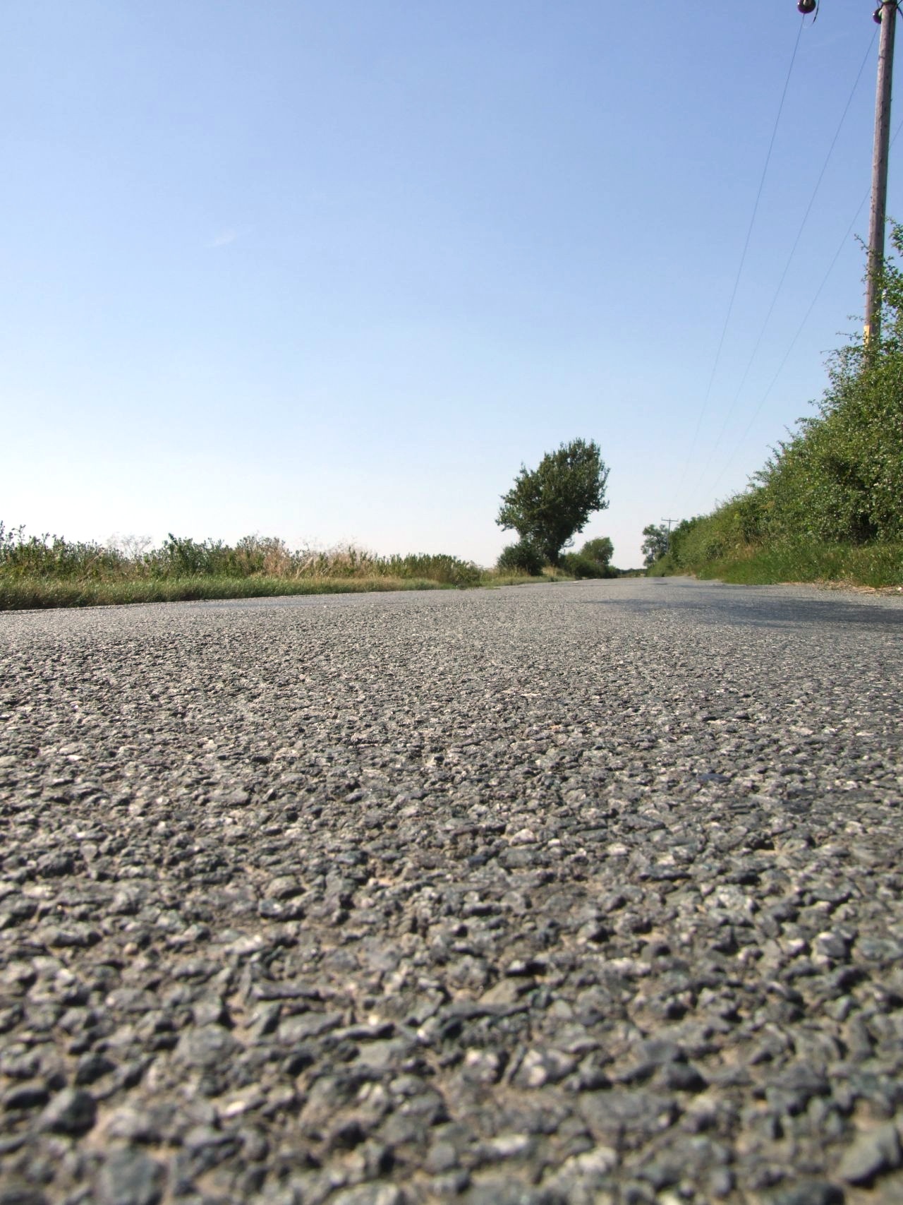 Cured Chip Seal Road Surface