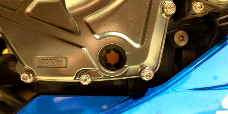 Terminology Dermatology