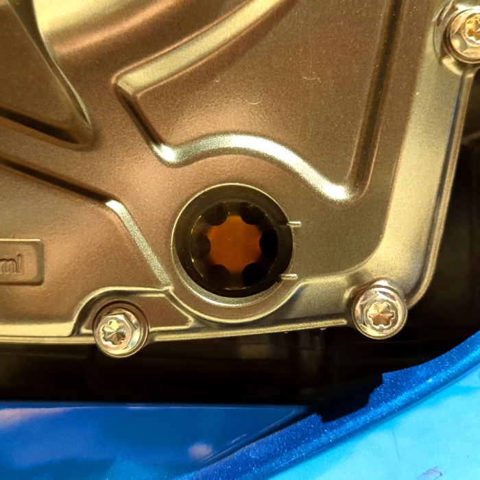 Terminology Dermatology