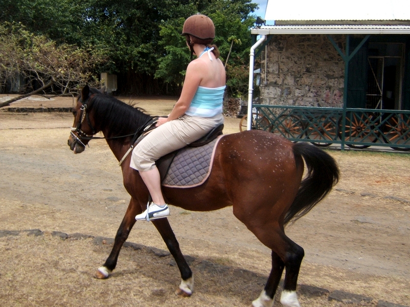 Horseback Riding Walk