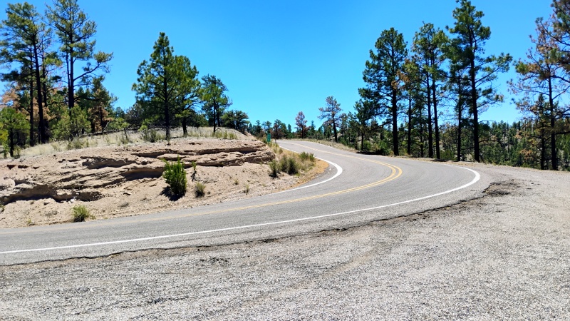 Heat & Hairpins
