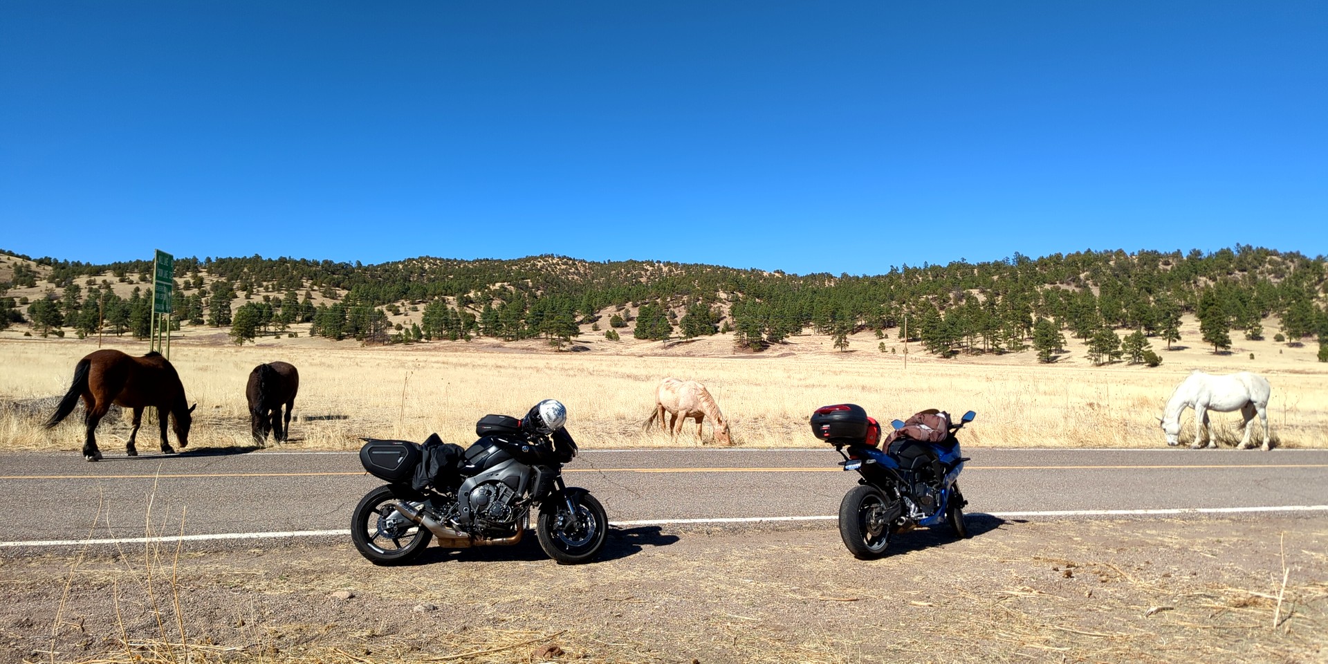 Motorcycle Podcast