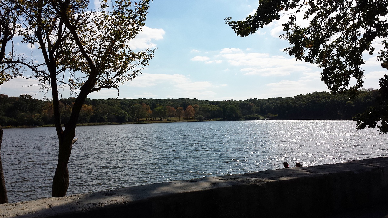 Starved Rock Shore